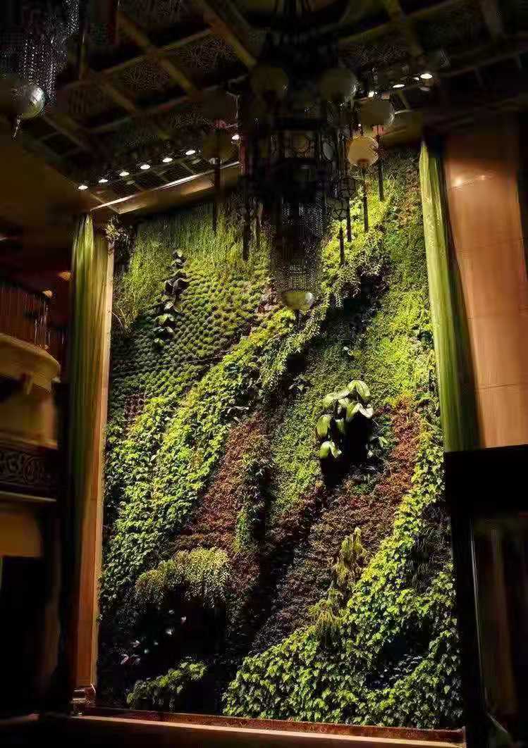 1569829674182904.jpg 8a55ce773548cdb1cb2d540133dcfa3.jpg