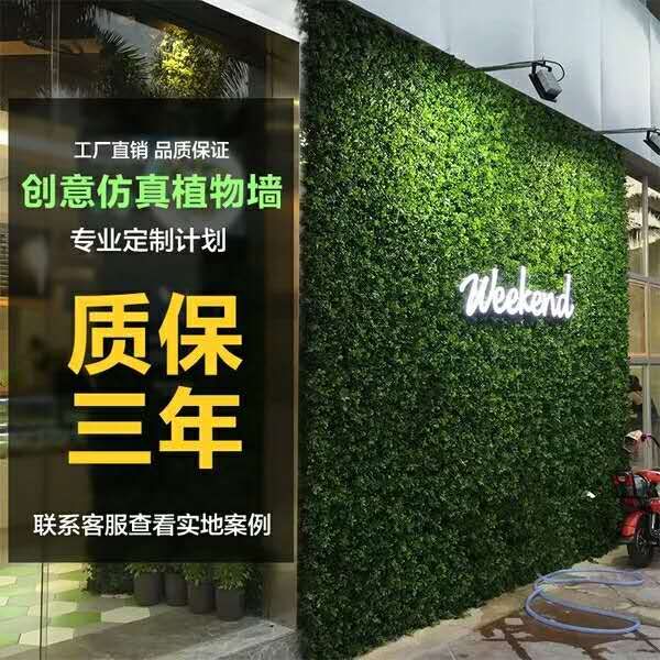 1583134787772756.jpg mmexport1542983820663.jpg