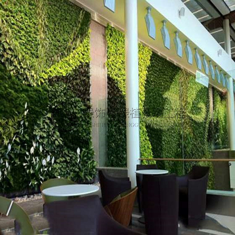 1591606457579639.jpg 1.jpg